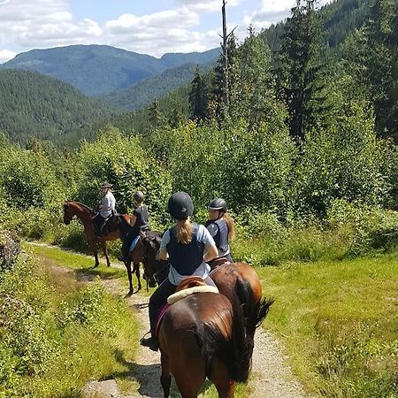 River Run Ranch - Telemark Drangedal Exterior foto