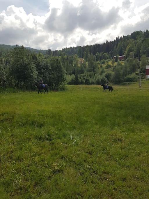 River Run Ranch - Telemark Drangedal Exterior foto