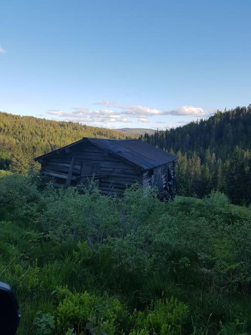 River Run Ranch - Telemark Drangedal Exterior foto