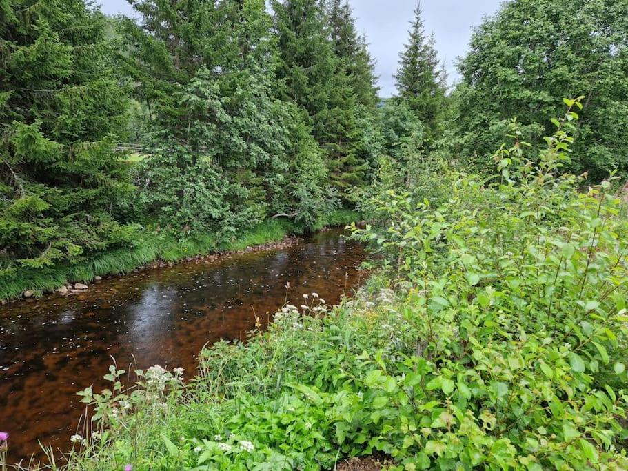 River Run Ranch - Telemark Drangedal Exterior foto